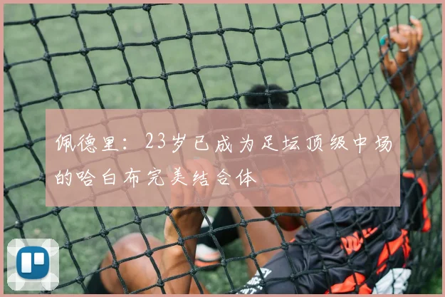 佩德里：23岁已成为足坛顶级中场的哈白布完美结合体