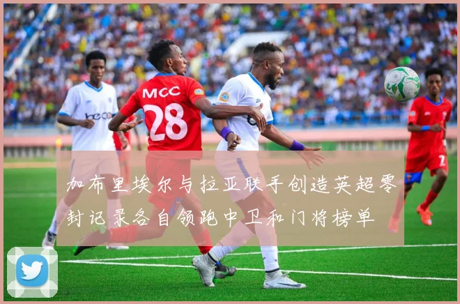 加布里埃尔与拉亚联手创造英超零封记录各自领跑中卫和门将榜单