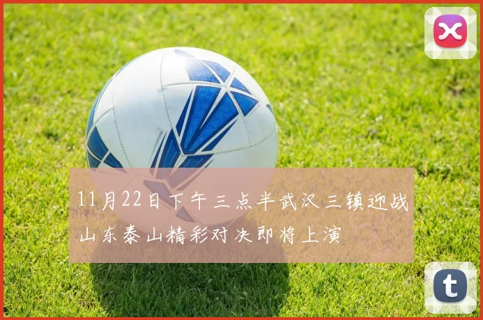 11月22日下午三点半武汉三镇迎战山东泰山精彩对决即将上演