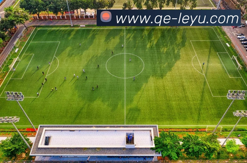 多媒体互动体验