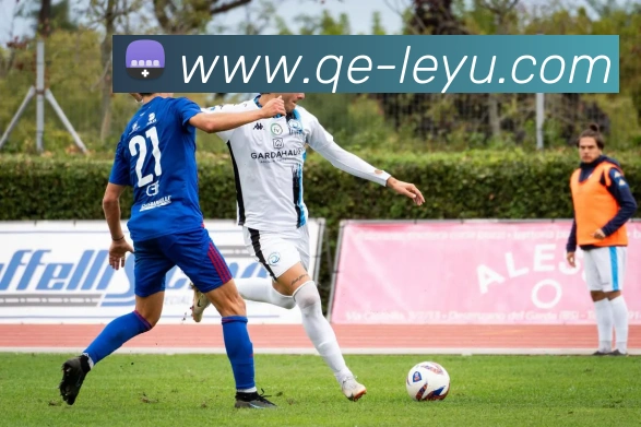 乐鱼体育APP 高清赛事图