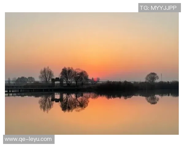 文班深入研究进攻时机力求每次出手都成为最佳选择的秘诀与心得分享