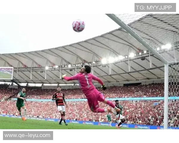 巴西足球盛事帕尔梅拉斯与弗拉门戈争夺南美解放者杯冠军